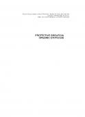 Protective Groups in Organic Synthesis 3rd Edition - T. W. Greene & P. G. M. Wuts